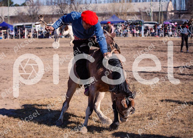 Photo of o5eu2d78ahau7h02tumwoj29