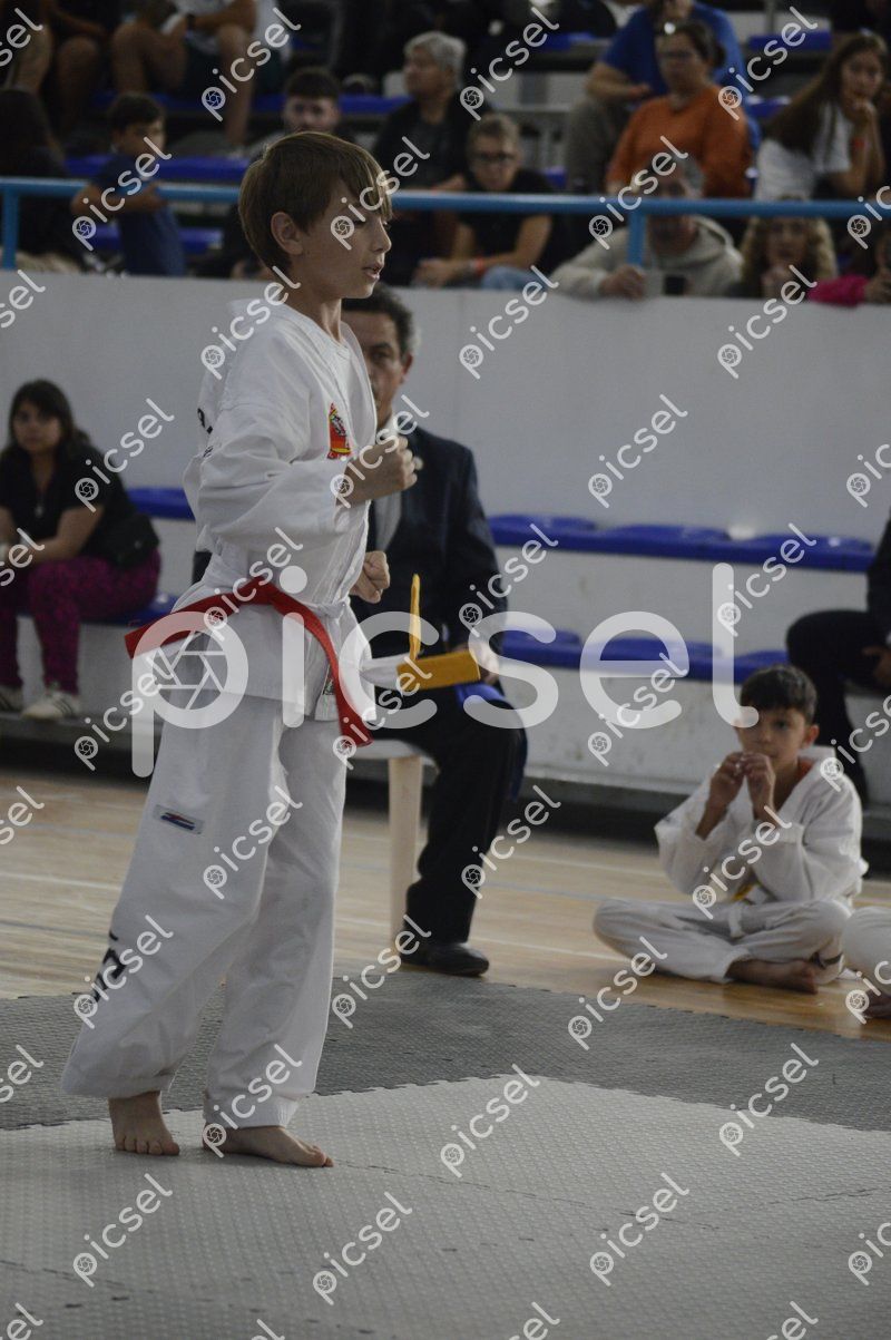 Photo of yceo03f2pza1e6ocj9fyhht1