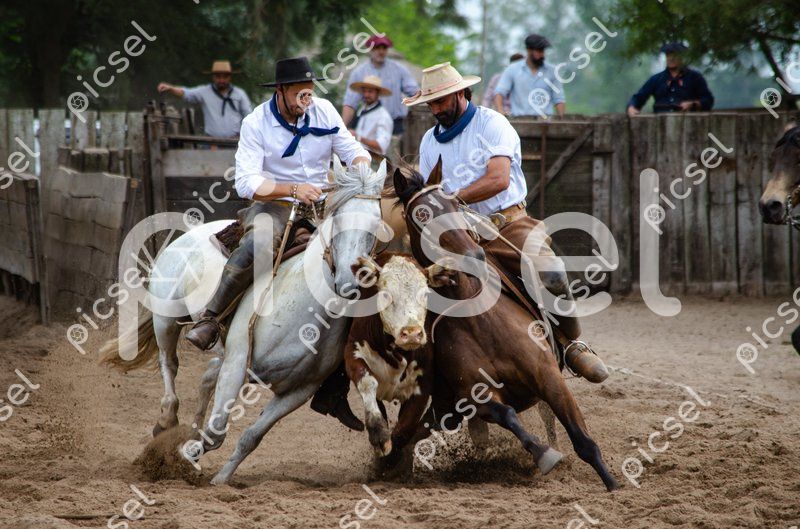 Photo of ljcmvtor8k6nfo1vlkfkjmpz