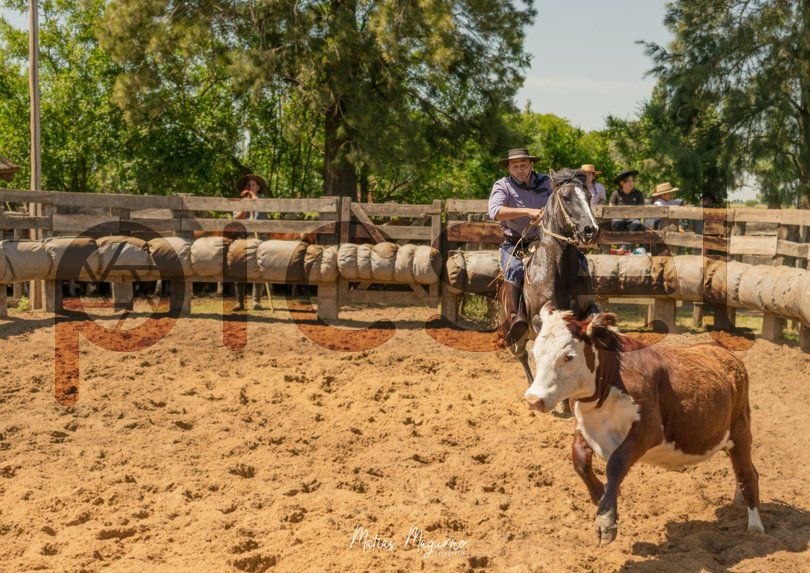 Photo of say0fmkx09wy3gj10sa8d84b