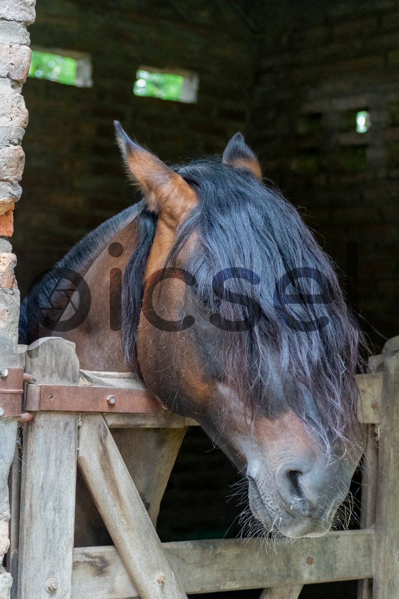 Photo of tlp2lrfrj10nwrcwp954yxa2