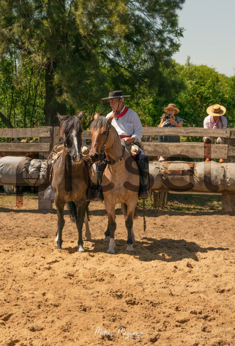 Photo of usc42rri51ckf1fw6zesesfa