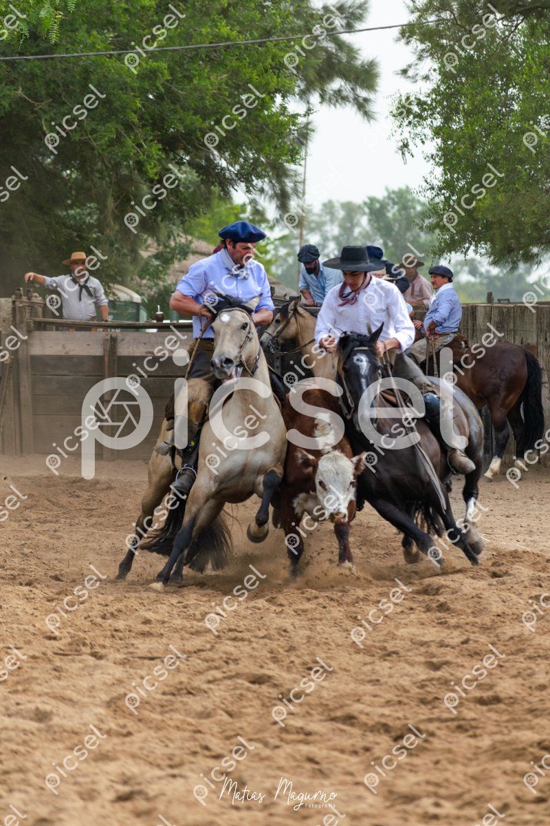 Photo of z4xwjv3ordvykltd1q74k0nl