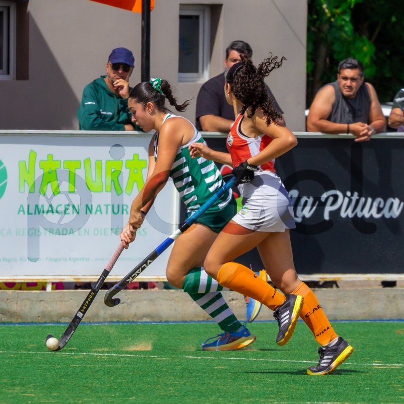 Photo of n21gpkdtz4pdtng38zvrvysa