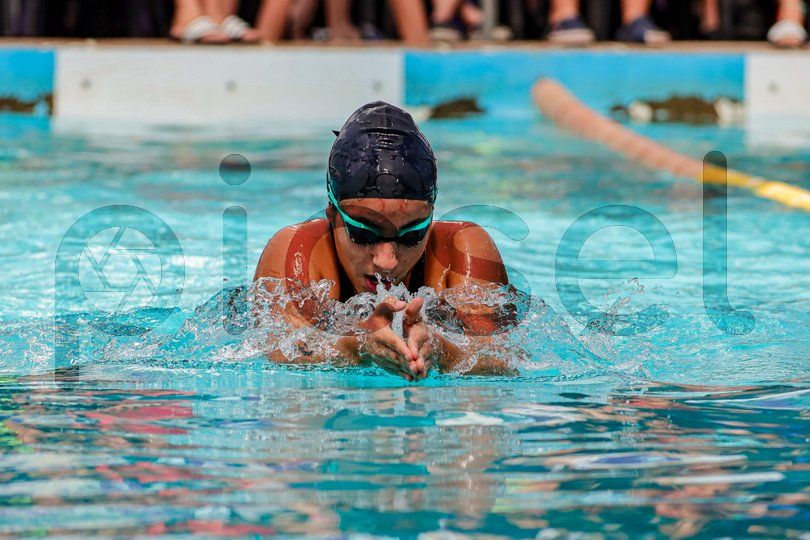 Photo of qwq31haf59zngkdpd084hnsn