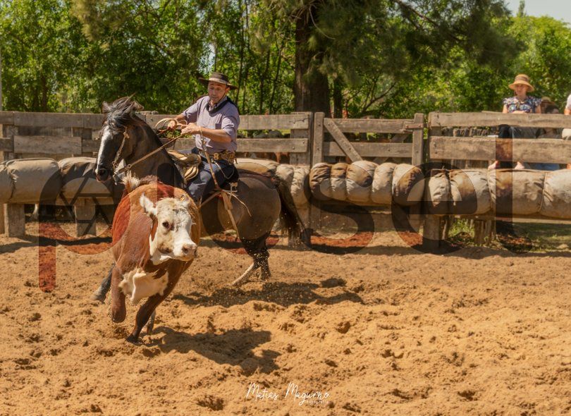 Photo of el0ueg0ko71bf01p5kyotmp6