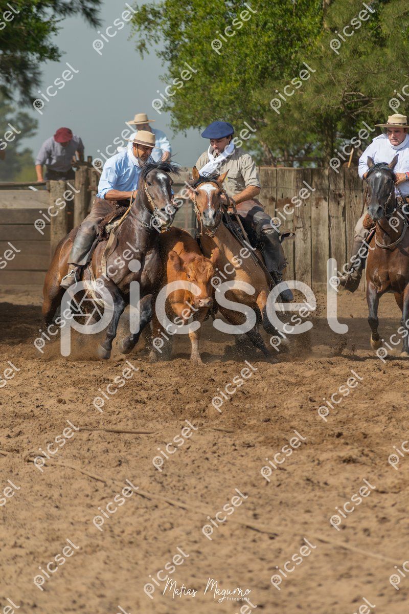 Photo of k3ou3iv46xqtpp9t1ol9g815