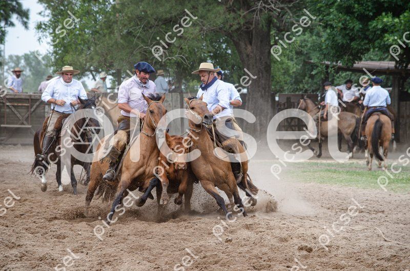 Photo of oxy92s4qlsuw7vaorz5cjatf