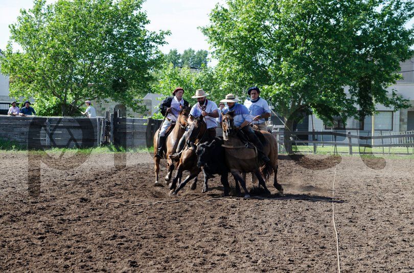 Photo of erlv9khrrz2ztm2vrzl1kj7g