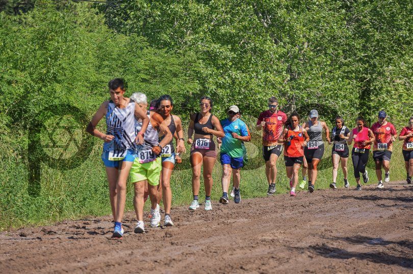 Photo of kjqtl2s01yplhdluf2lvw5gh