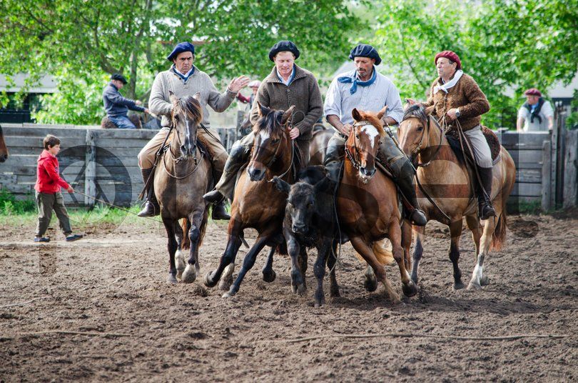 Photo of ci1iieewyxayb322cr3cnfnb