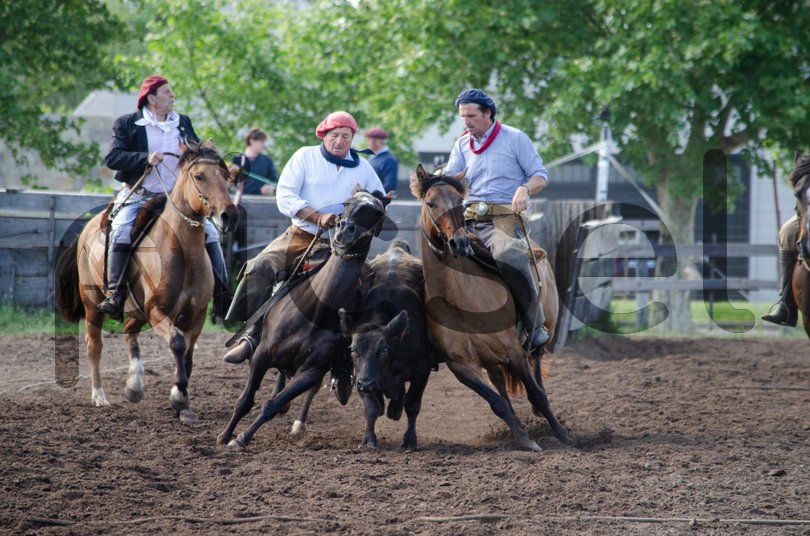 Photo of wkssl4lmytrimnuyuneclz40