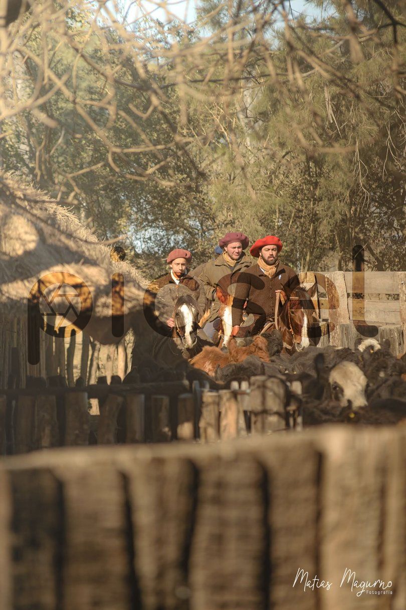 Photo of ma77me6ws3llons1sgg74kz0