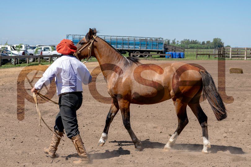 Photo of yhfjl9qottq0dig4lfe8un9f