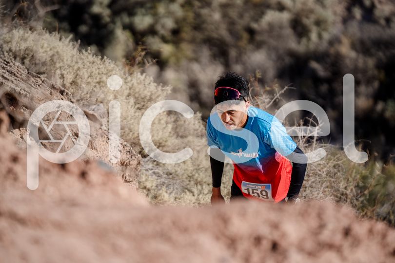 Photo of lpo9apjno7crrefbgf655v24