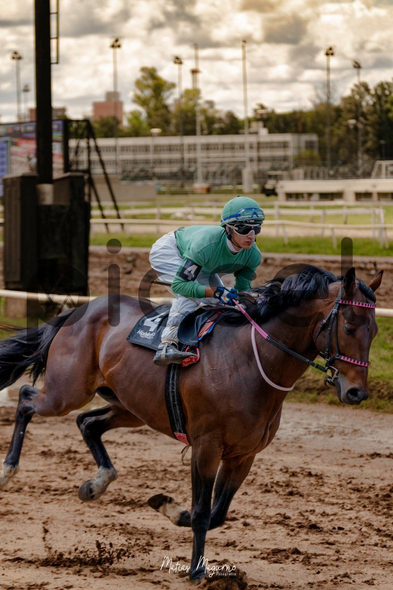 Photo of bt917hg2jkefhfw47rhci2uw