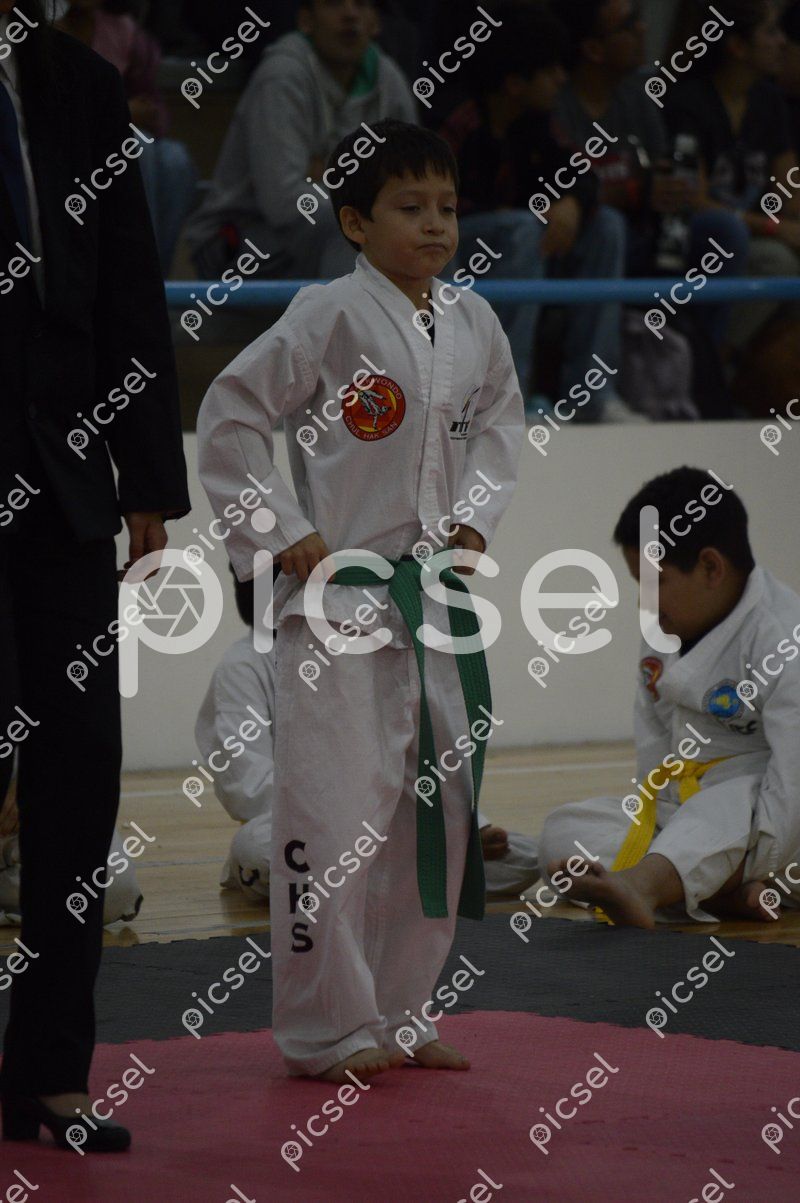 Photo of slxn7f87l6vefeg2lrwp8o6p