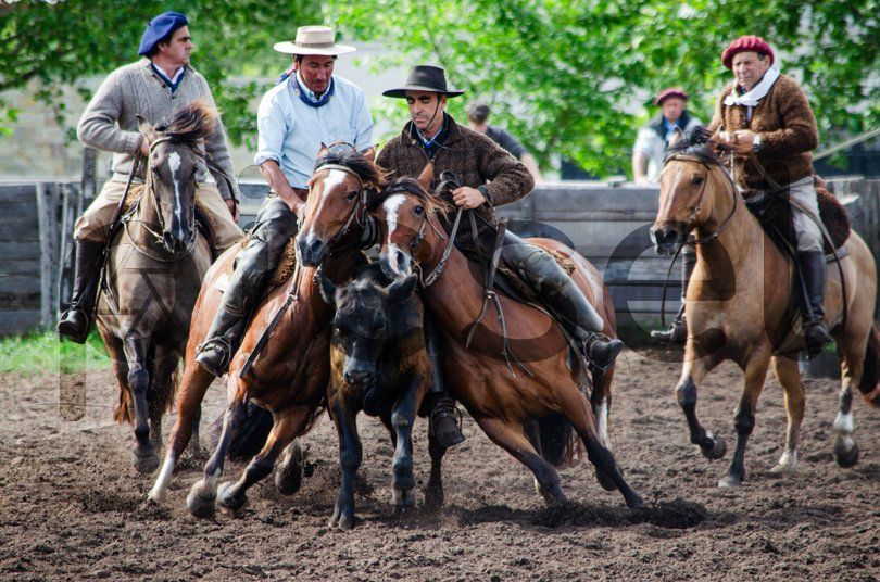 Photo of hf0298ke5nobh0rvim9jjpym