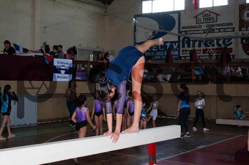 Photo of igwems81vilu2can1j5nc3ht