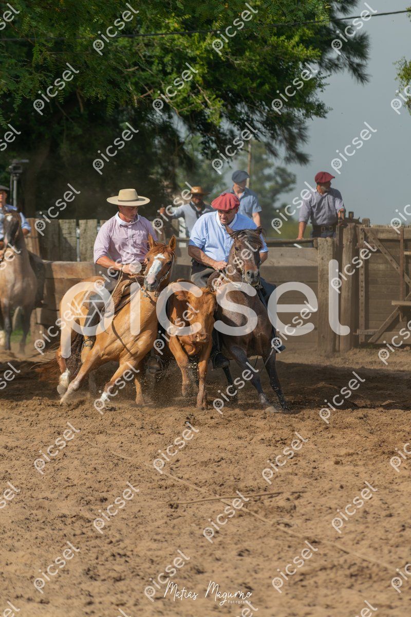 Photo of nu9qzcq51pyc7i5nxizh5d2u