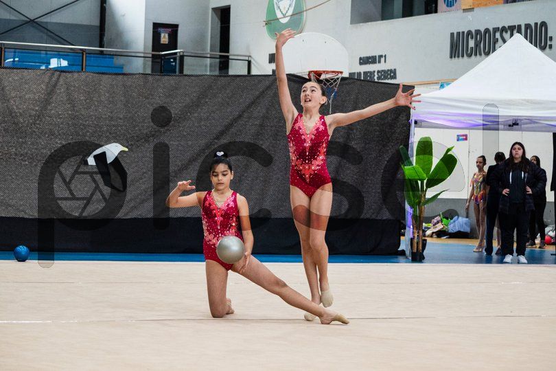 Photo of ne0062i8njqkch7ejd44aqqy