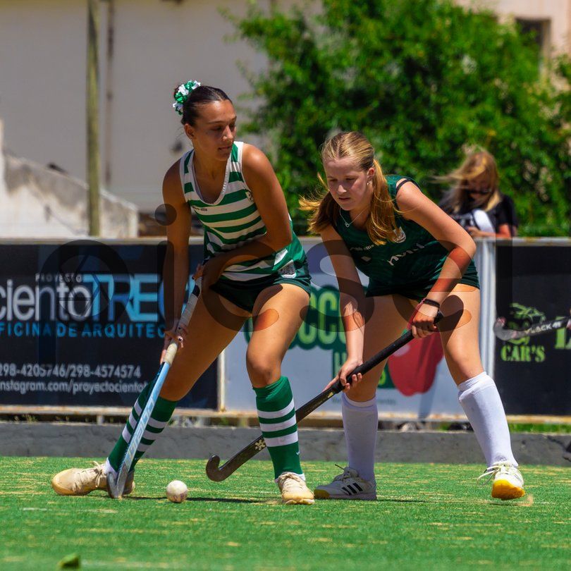 Photo of uf9htpxp7pnsy7ir20ylm54i