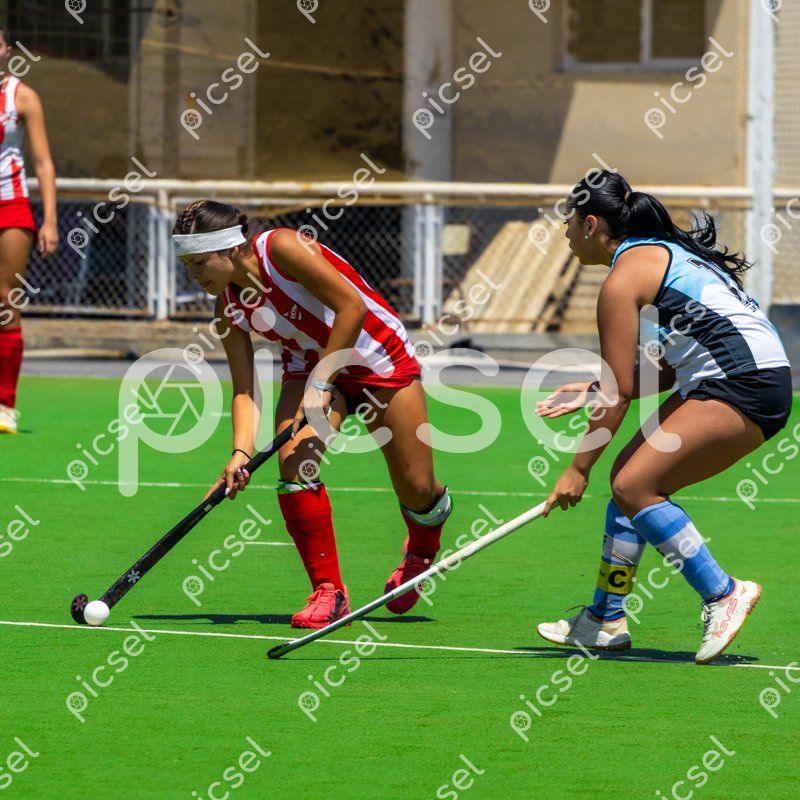 Photo of sq3i2oso6odim47zmsnsnegz