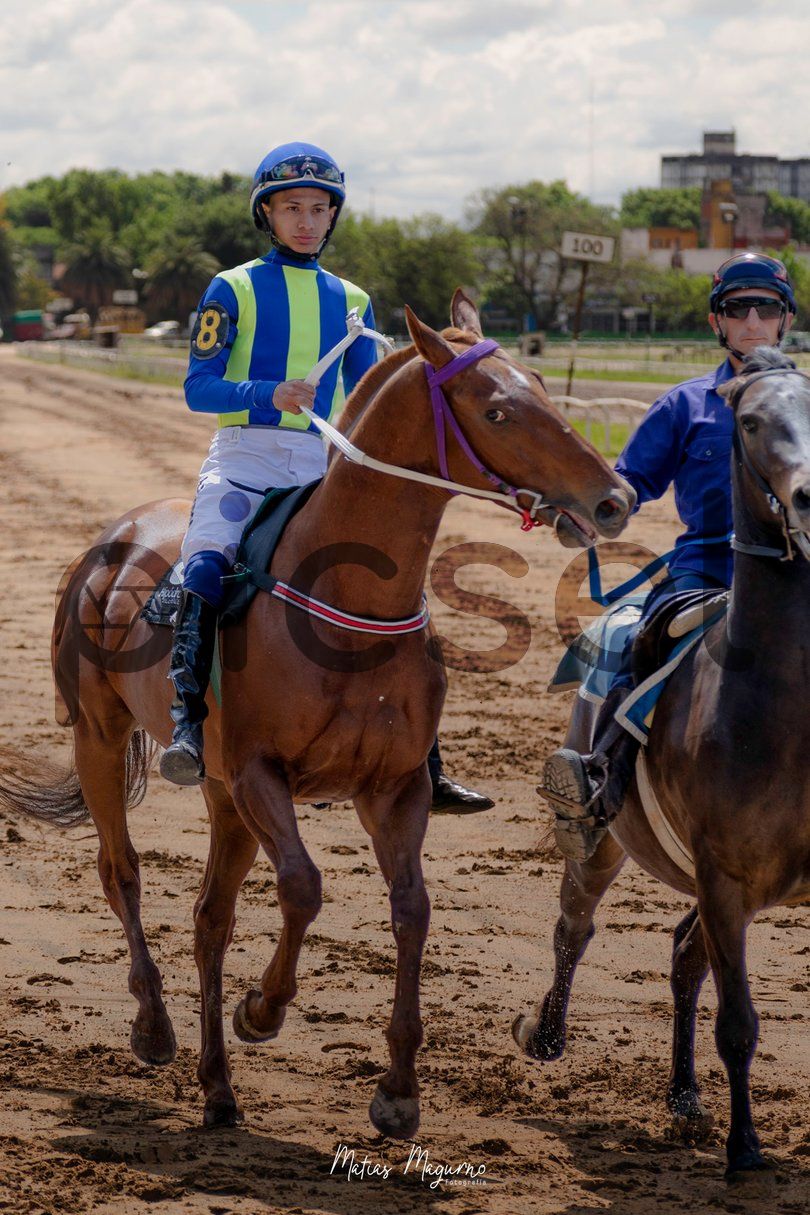 Photo of ae5rg06nhxu8thfuijvx5hl2