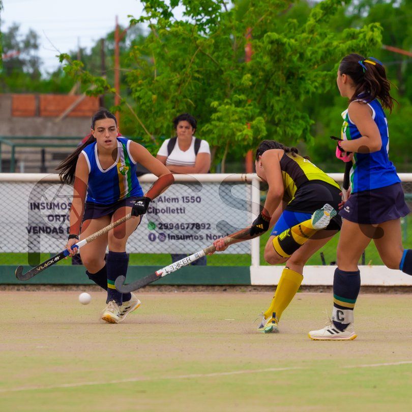 Photo of xeae664qnn2pw9e1agn54z3o