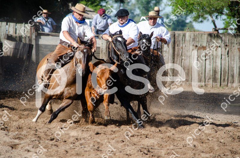 Photo of nmxfvsi5d79921kd22sg58dn