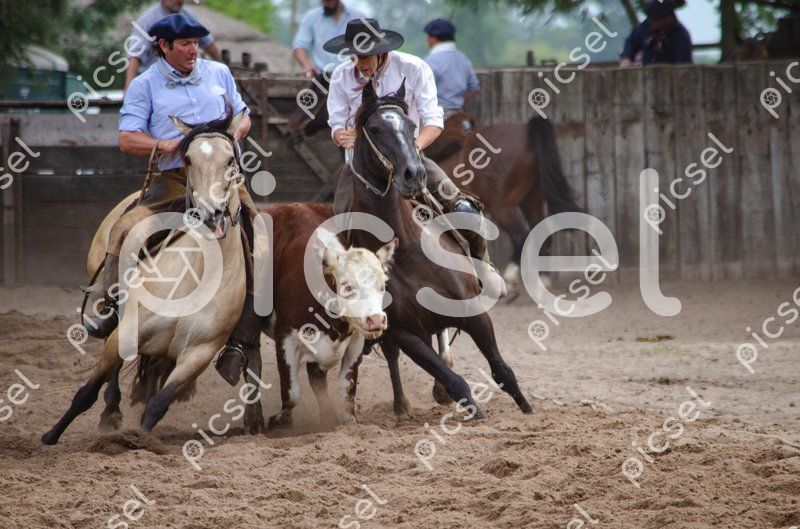 Photo of g4l0yo965agirep2ewfhrteh