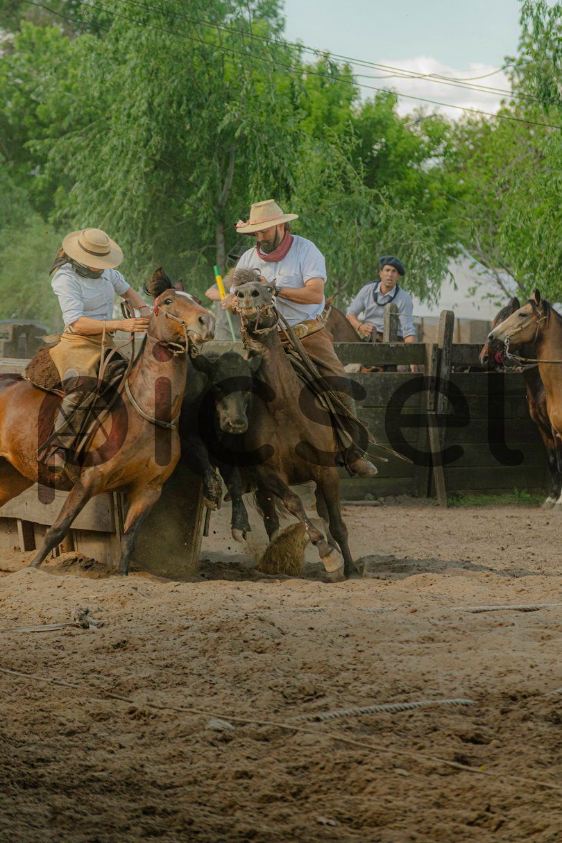 Photo of hwy5dp0zqvwj9nysv2k53fpr