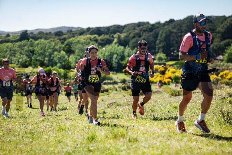 Photo of r13hp6vf24vzpf953ygiz4n8