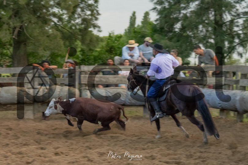 Photo of x7us7ottmwu59m3r5xp2k3ab