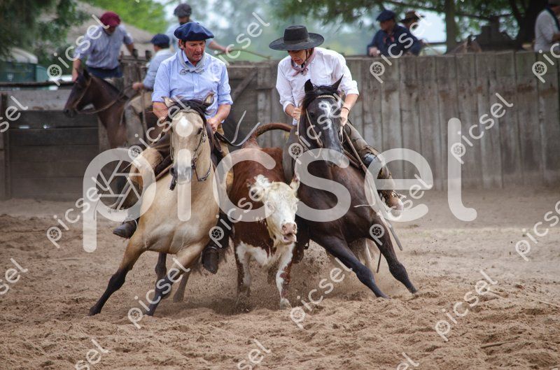 Photo of npluc50c1pw32y75ywfxvc1m