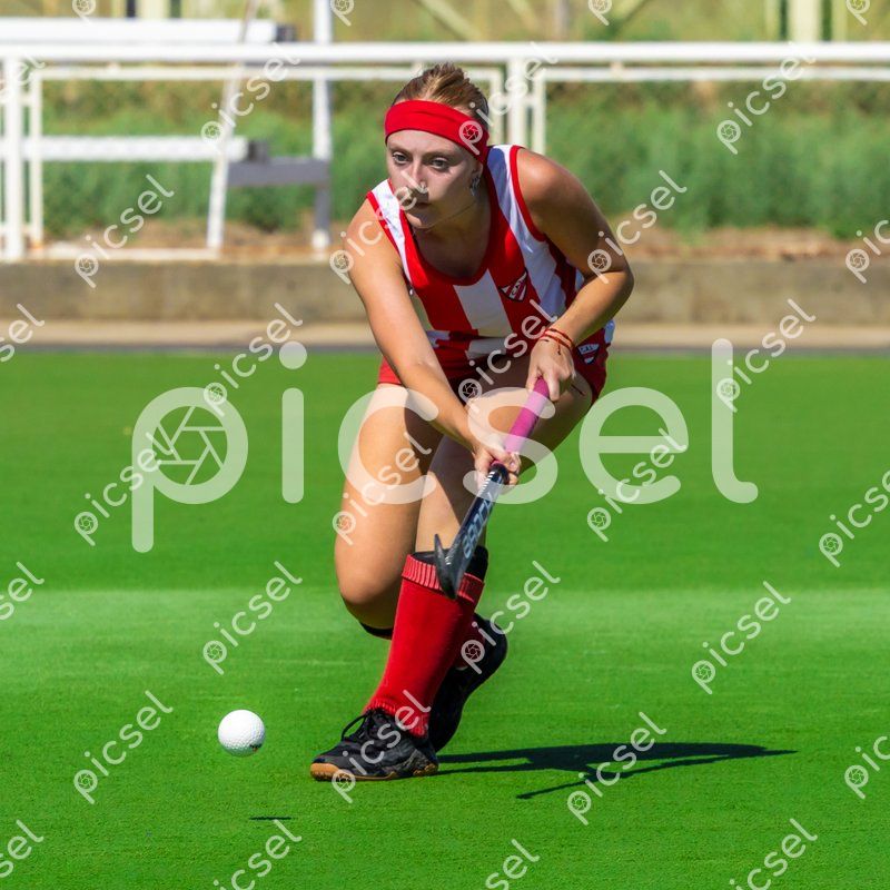 Photo of qtiky0uqs1t6zkwldhfflfwt