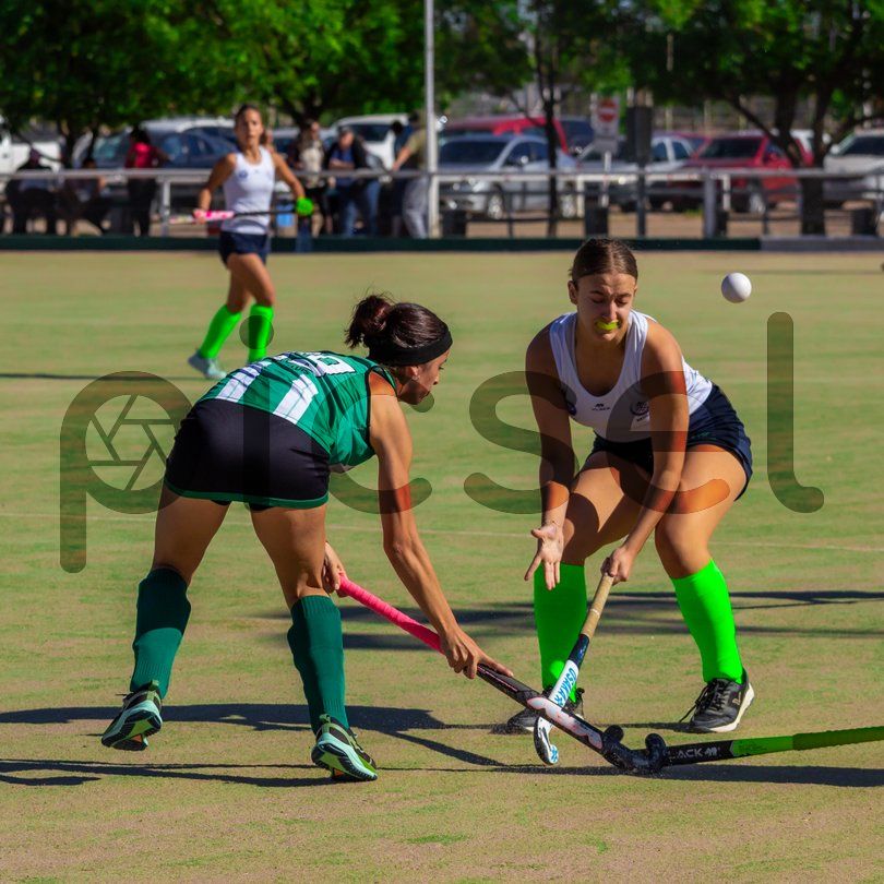 Photo of ojz9p13fxeik5ofo8vr9ovim