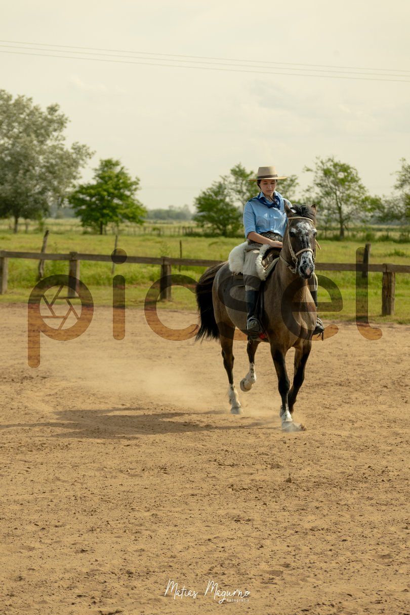 Photo of lazsd53enmkd4a9nrywtg8jt