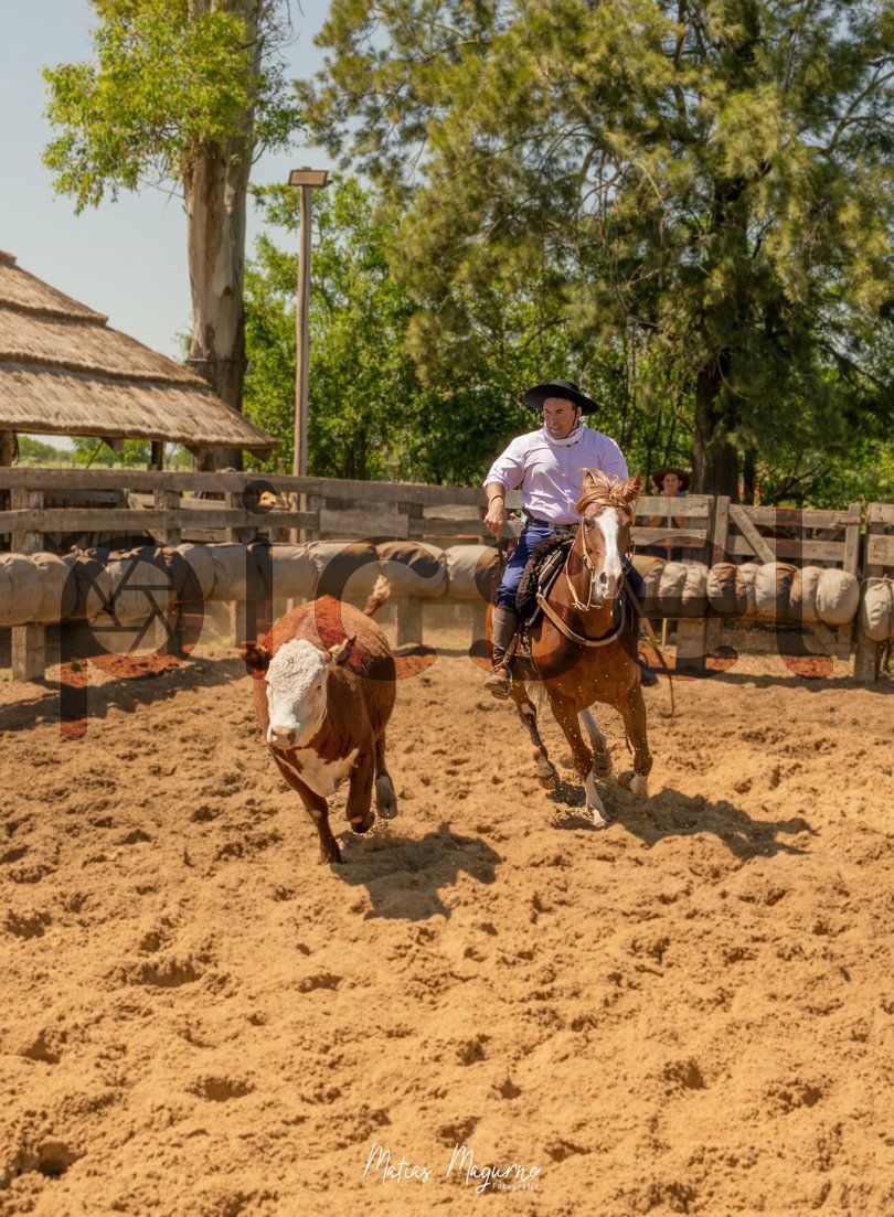 Photo of zbk5utxd99581dpifh8wbznh