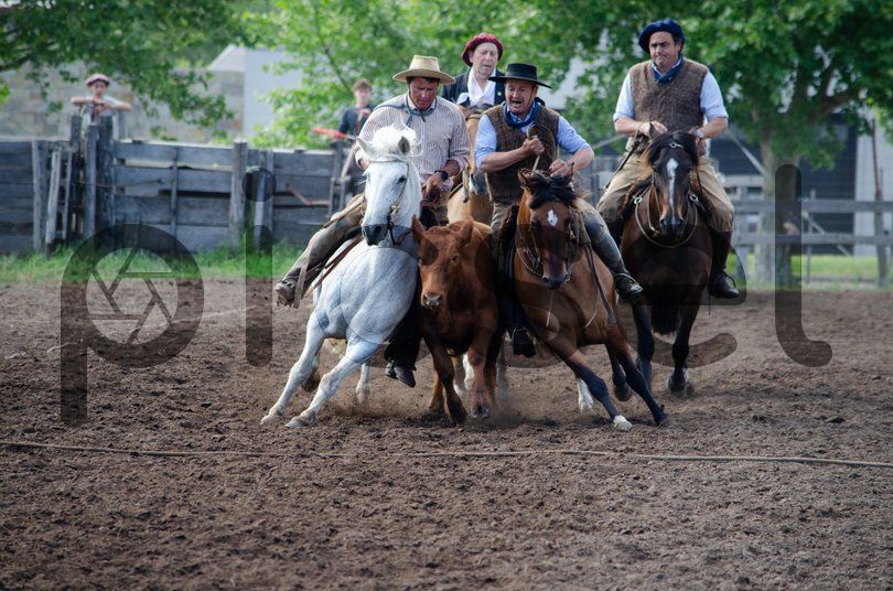 Photo of f66cwsly4ant9dxm20f4i57m