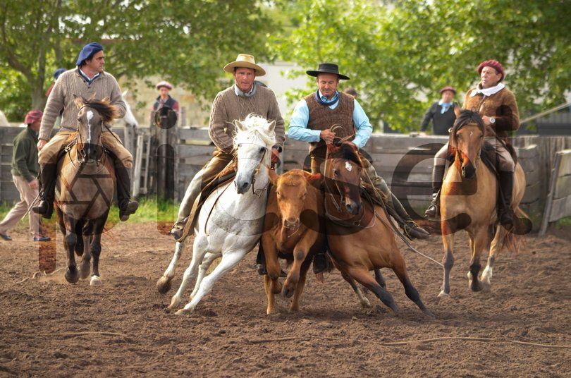 Photo of t16rwq8iwlwzcd7say82wtfh