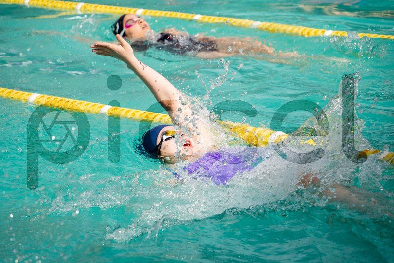 Photo of dx8zoyup12p2taojwbvn9lya