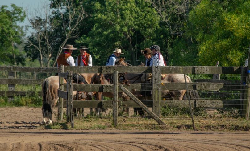 FZB -  La Invencible