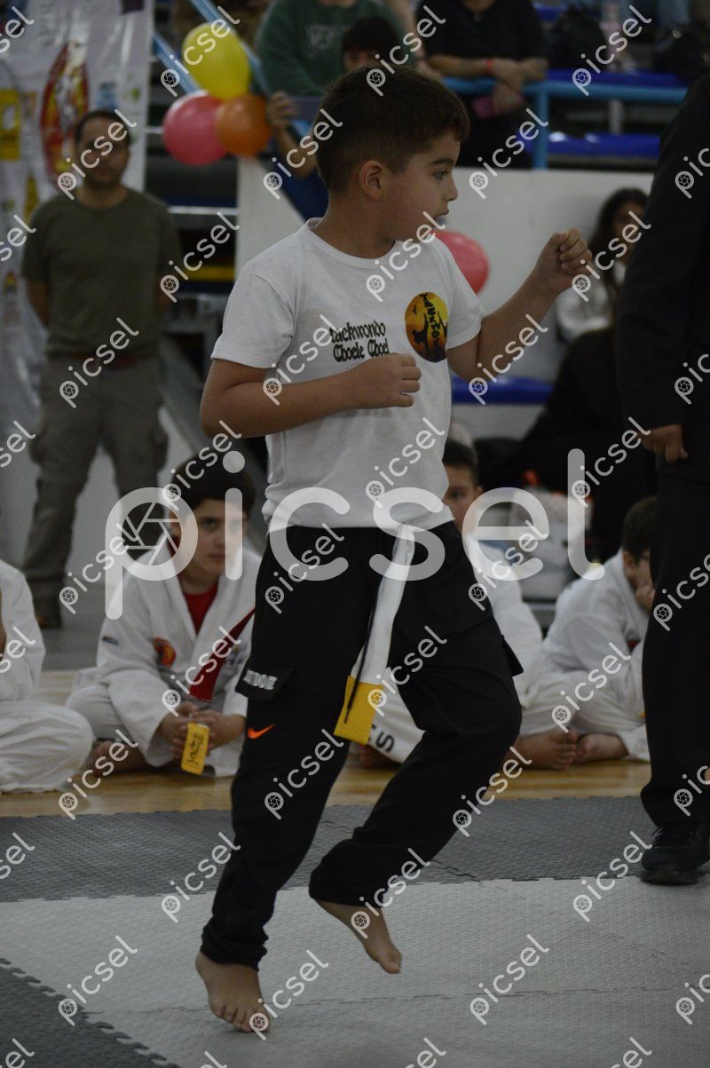 Photo of dozx44wwrr6ickg2rlu9blu9