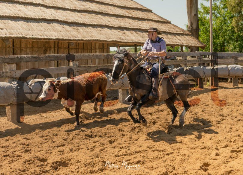 Photo of q8njaemnehpyb1qd3l8926lq