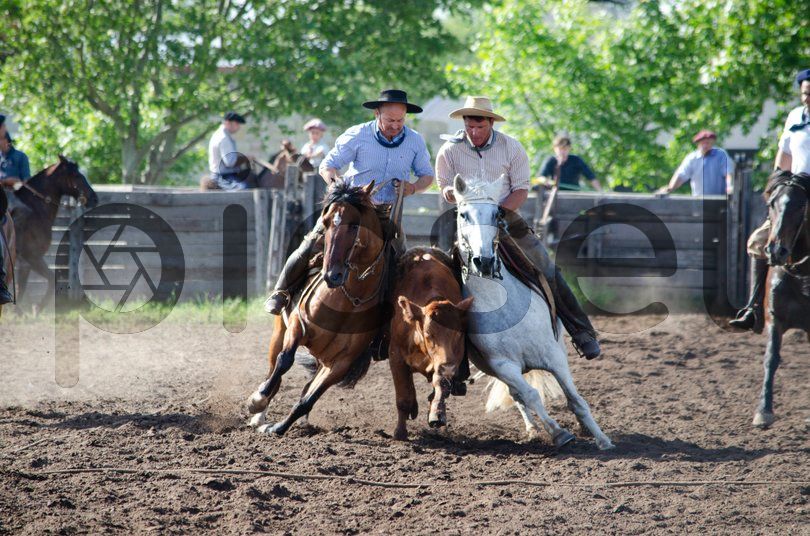 Photo of vkdj6kvjs42hhn57lseewnxa