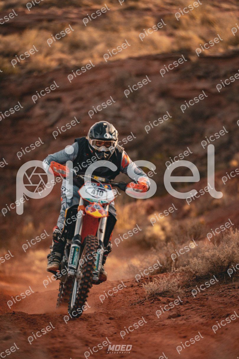 Photo of zfp1tk479anmy4vo4wt1fyh6