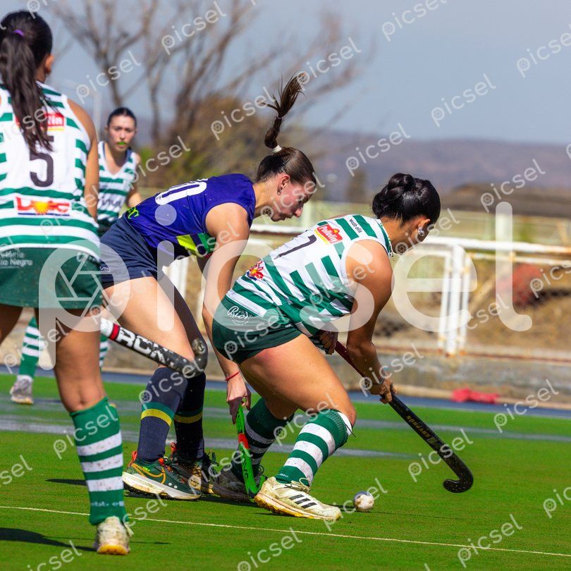 Photo of sntd8lh1keoqutikau9itqvf