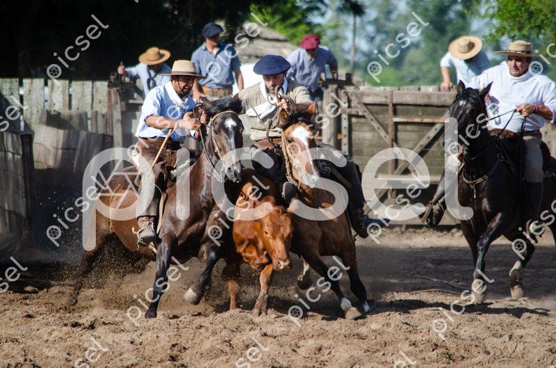 Photo of pnl2difmt9zvsjmws7wk4jdl