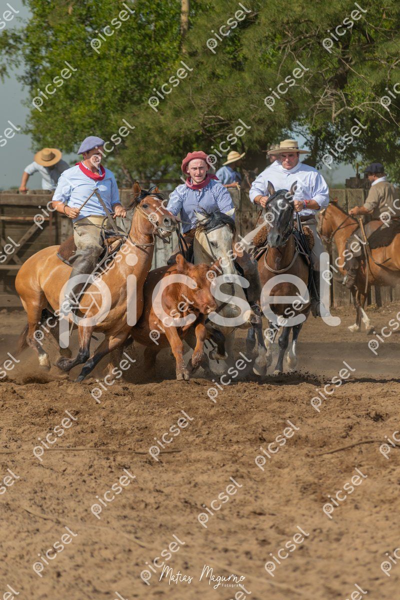 Photo of v6lmbpjceodaqfjf6cwaewyo